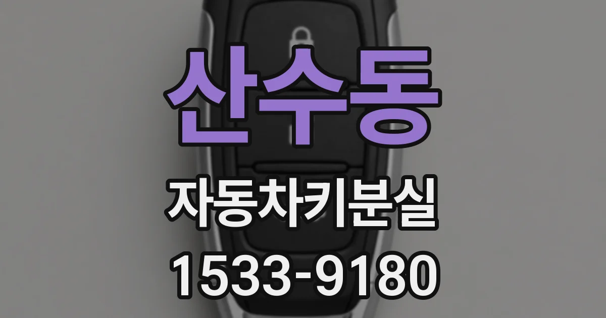 산수동 자동차키분실