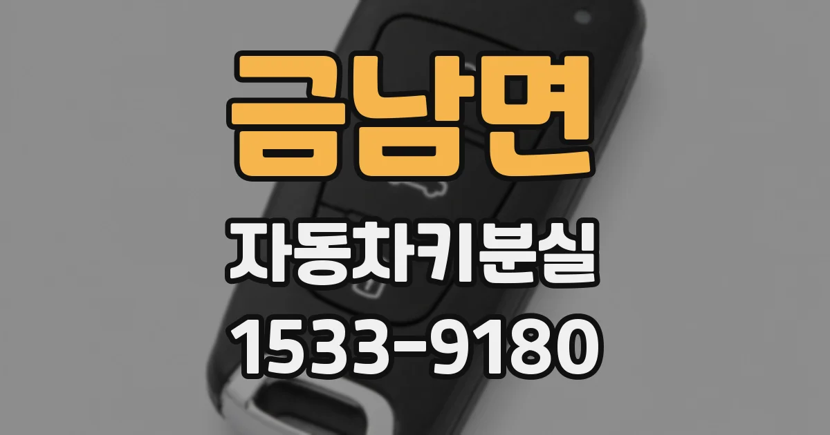 금남면 자동차키분실