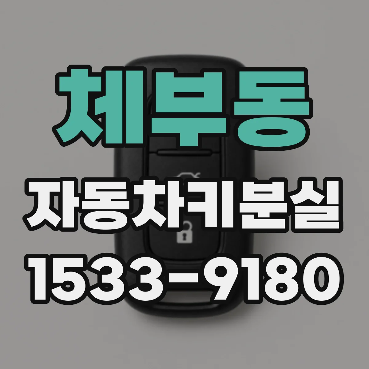 체부동 자동차키분실