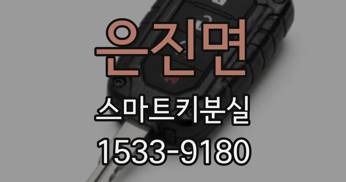 은진면 스마트키분실