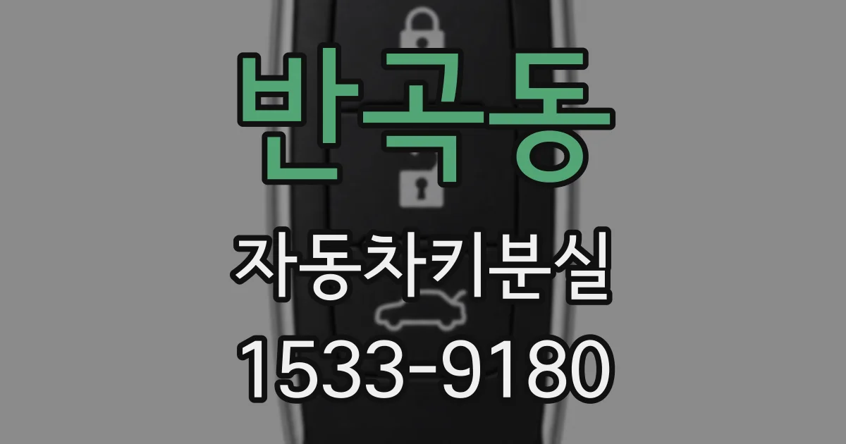 반곡동 자동차키분실
