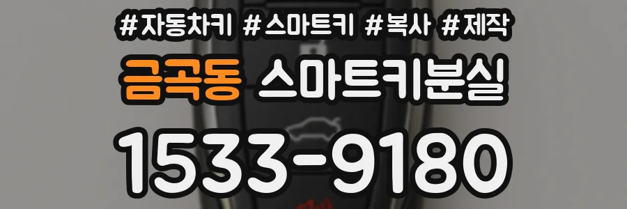 금곡동 스마트키분실