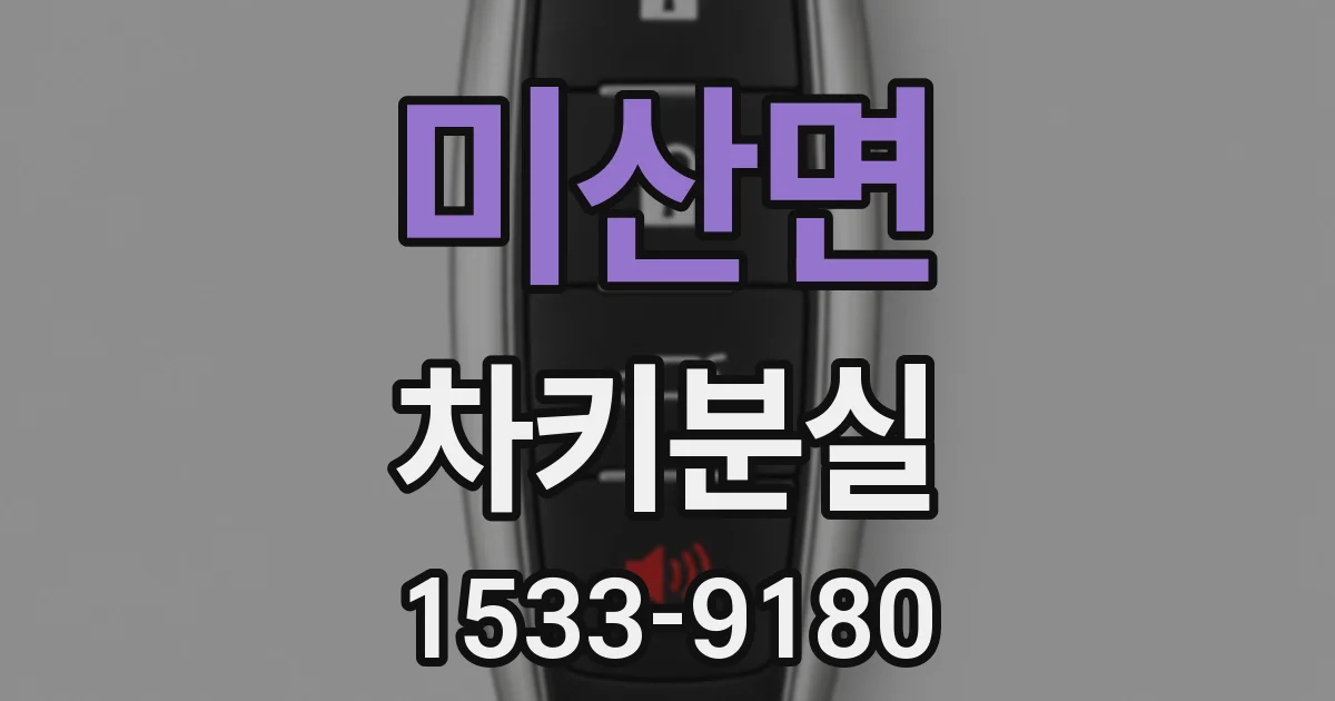 미산면 차키분실