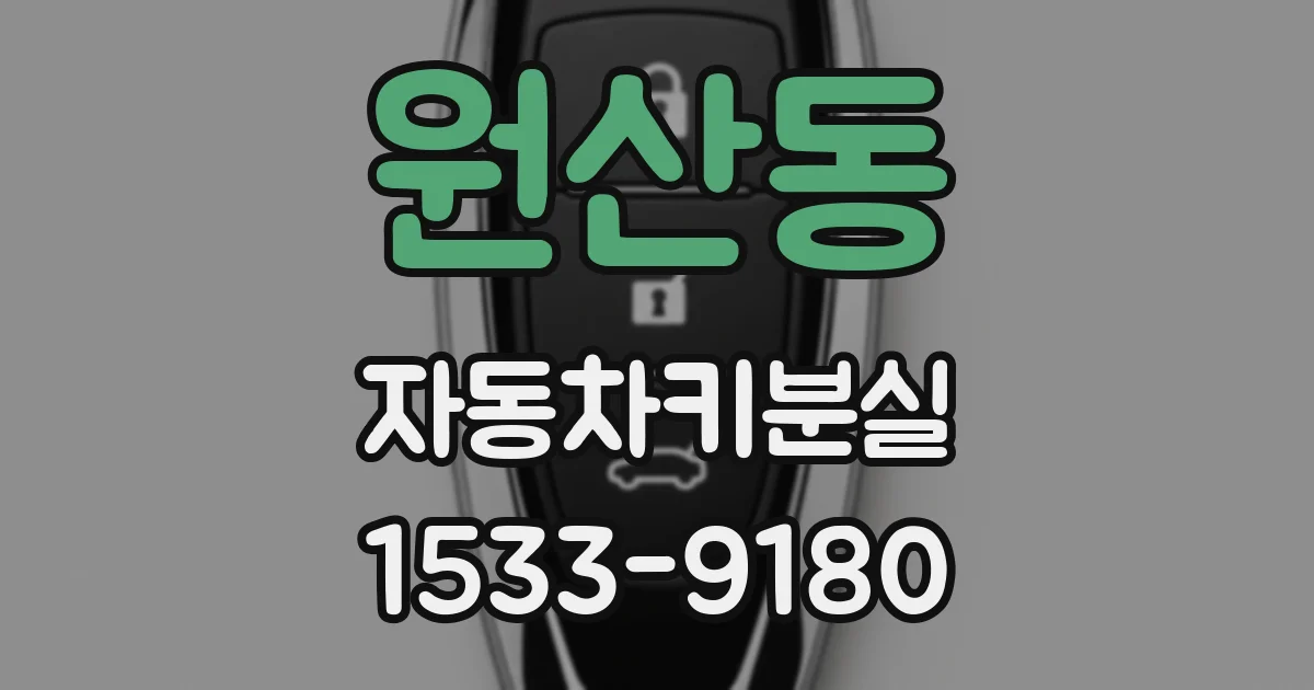 원산동 자동차키분실