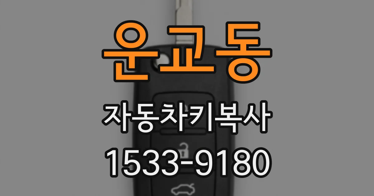 운교동 자동차키복사