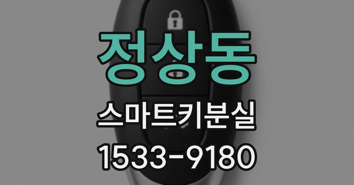 정상동 스마트키분실