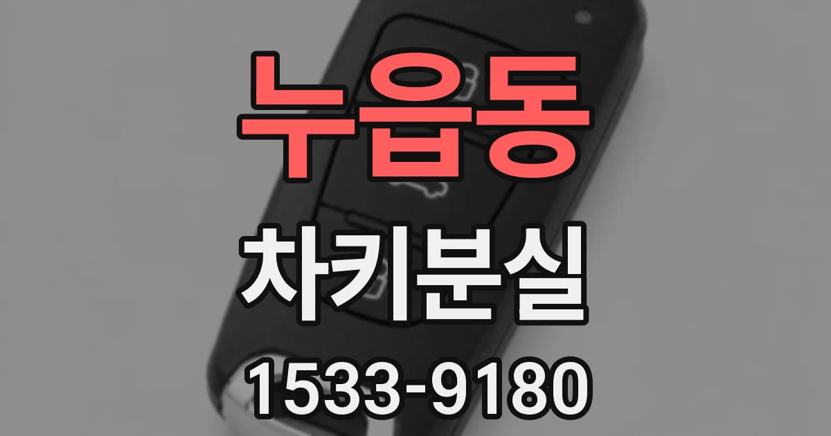 누읍동 차키분실