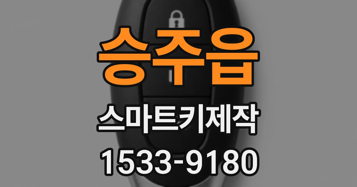 승주읍 스마트키제작