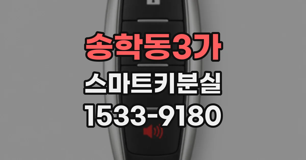 송학동3가 스마트키분실