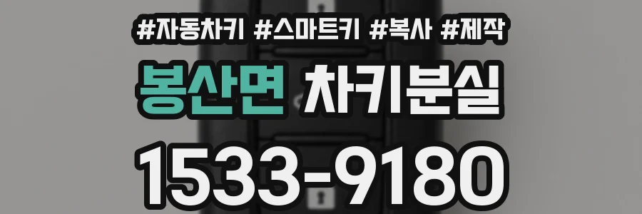 봉산면 차키분실