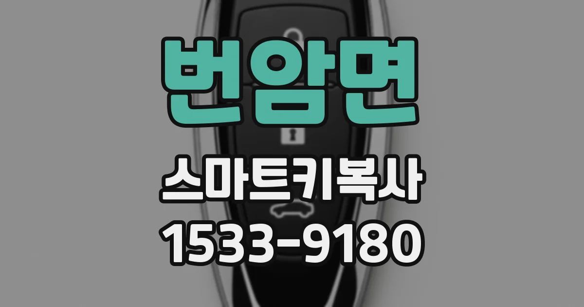 번암면 스마트키복사