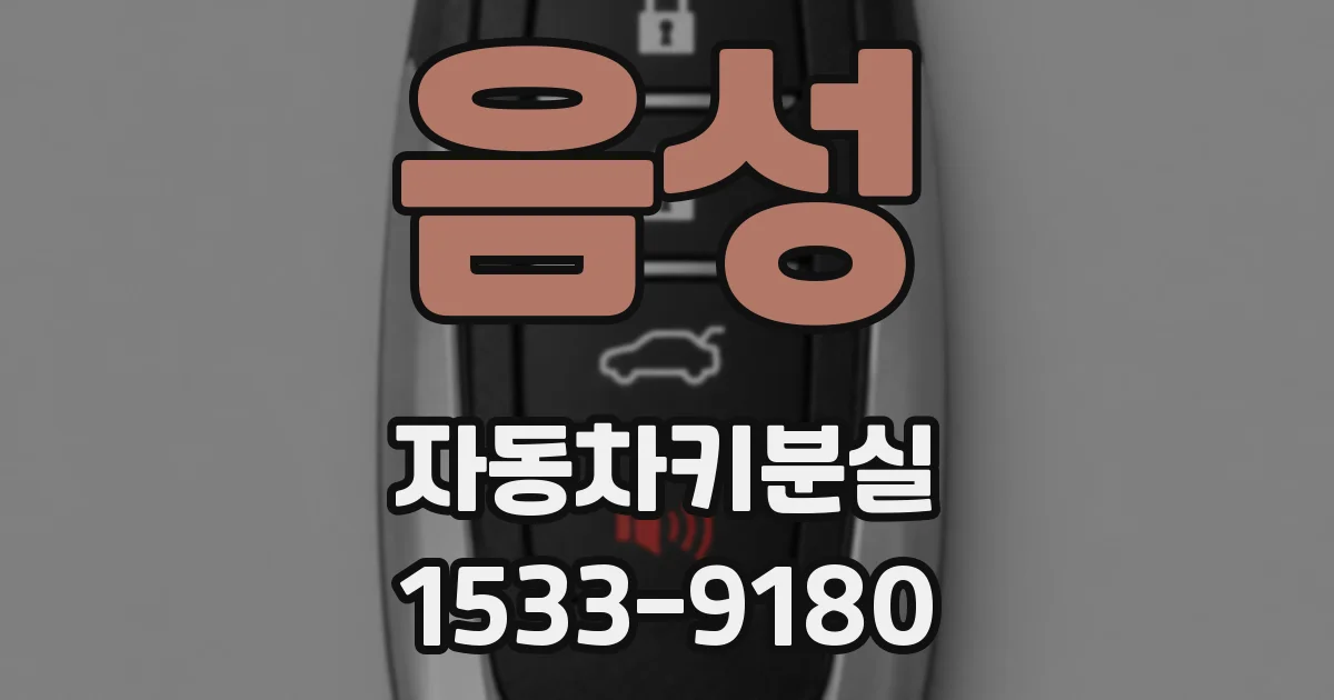 음성 자동차키분실
