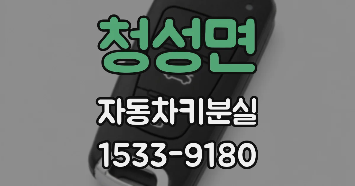 청성면 자동차키분실