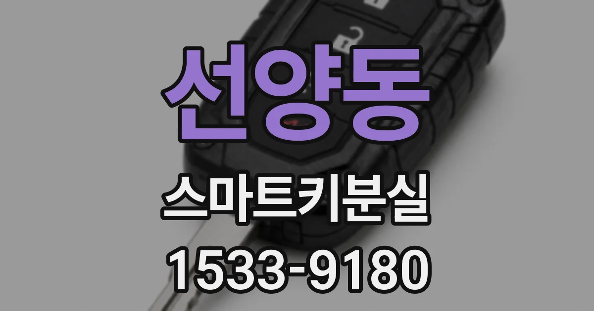 선양동 스마트키분실