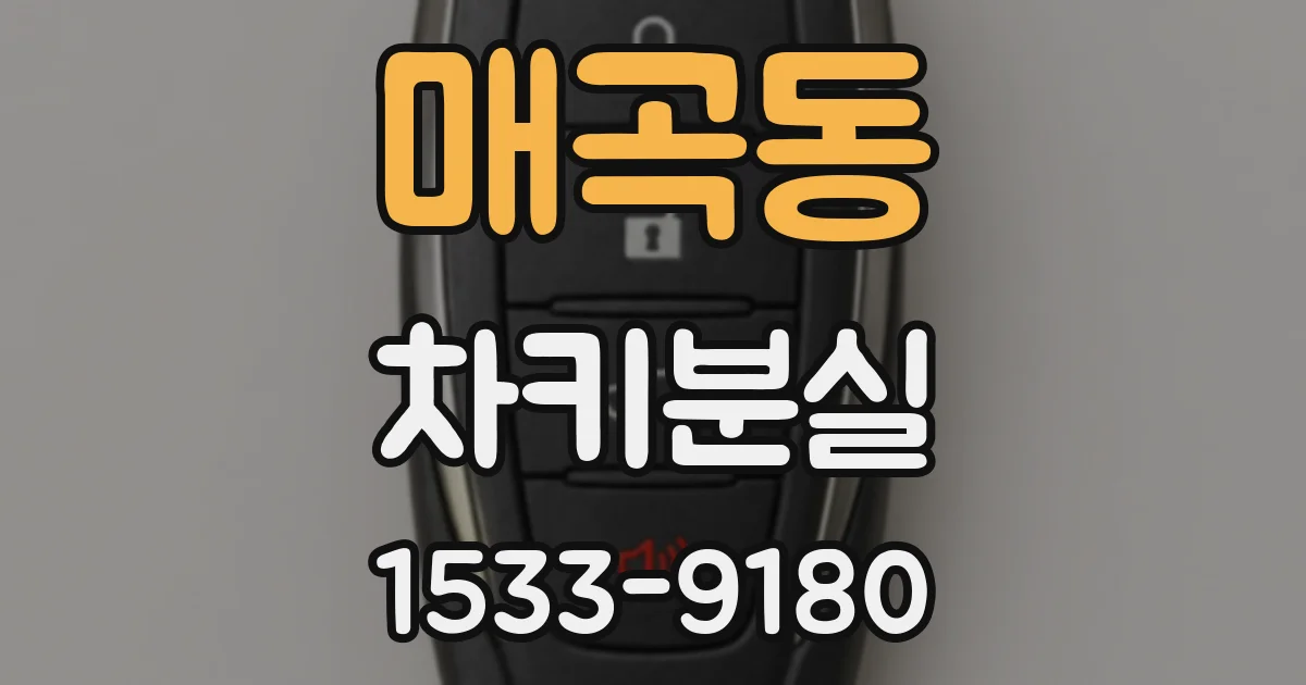매곡동 차키분실