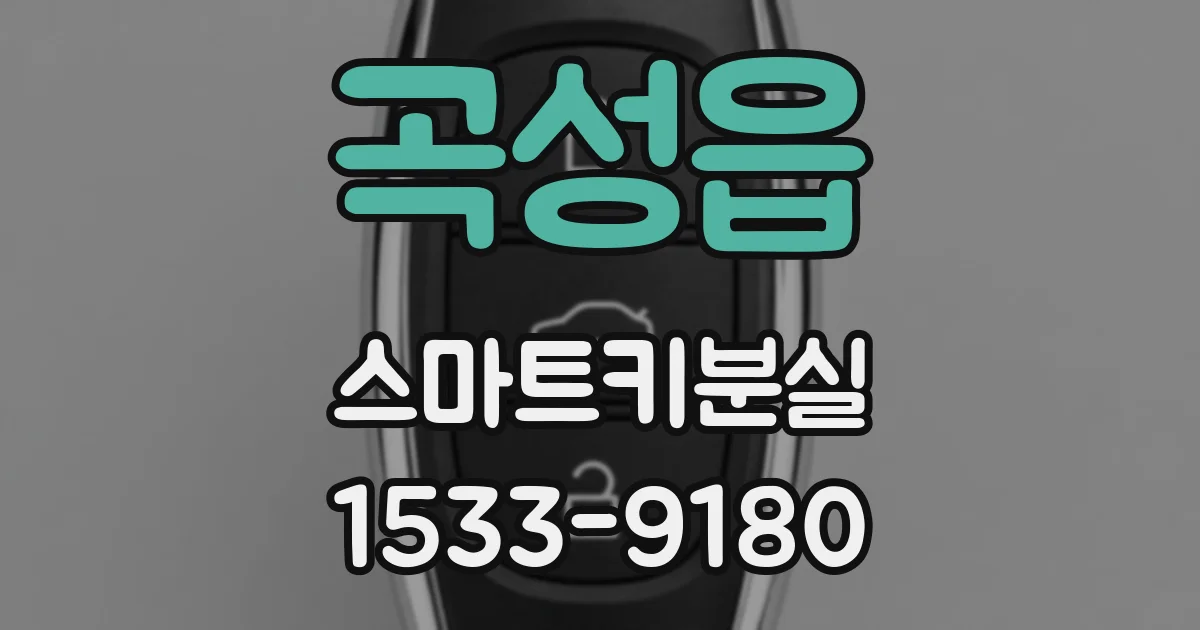 곡성읍 스마트키분실