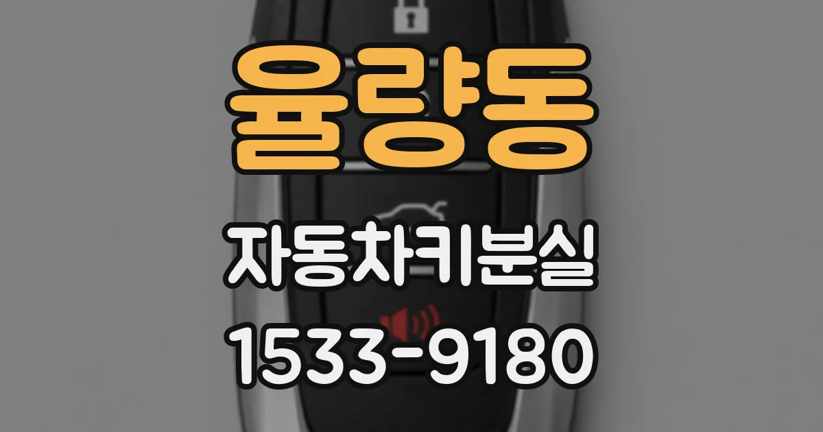 율량동 자동차키분실