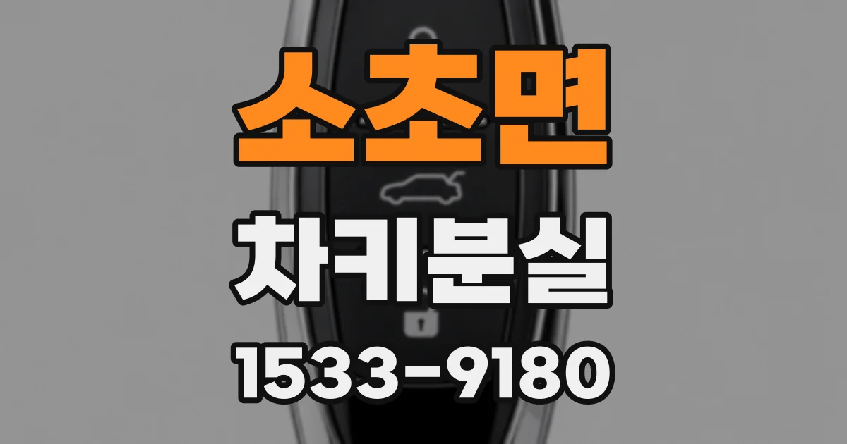소초면 차키분실