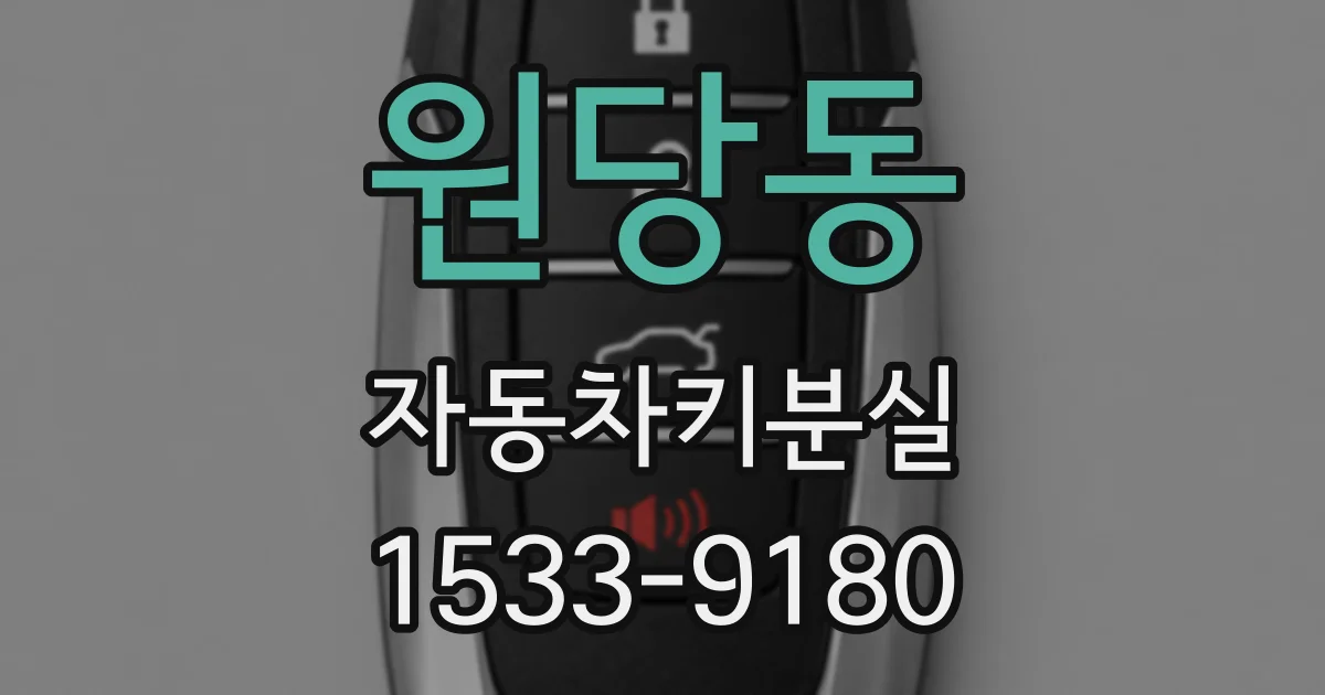 원당동 자동차키분실