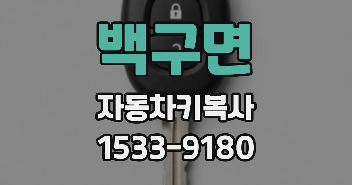 백구면 자동차키복사