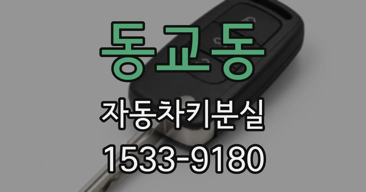 동교동 자동차키분실