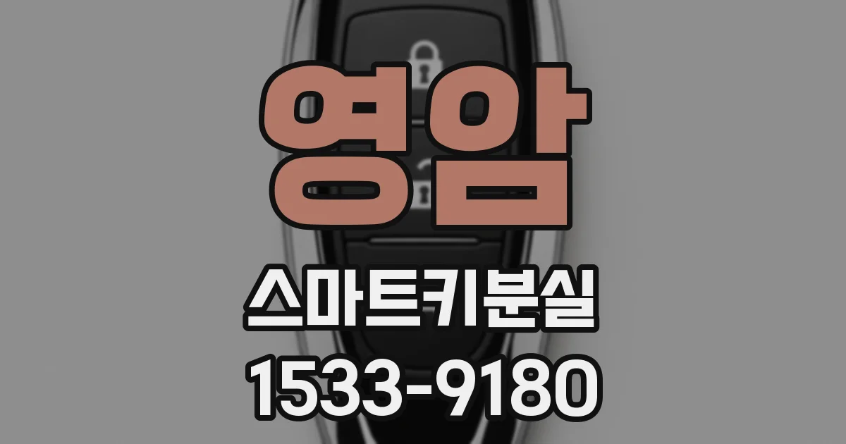 영암 스마트키분실