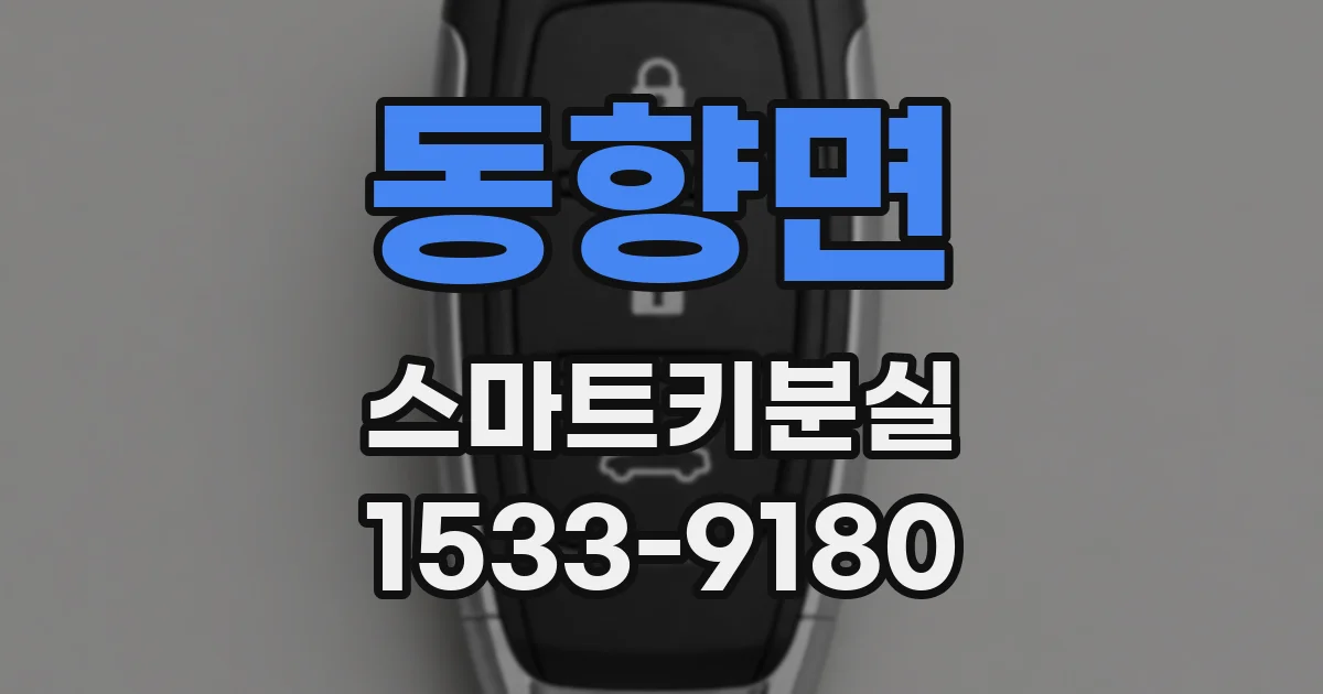 동향면 스마트키분실
