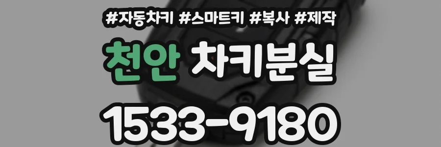 천안 차키분실
