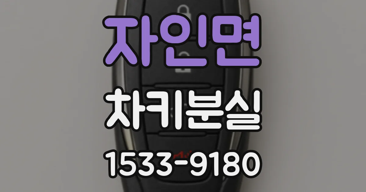 자인면 차키분실