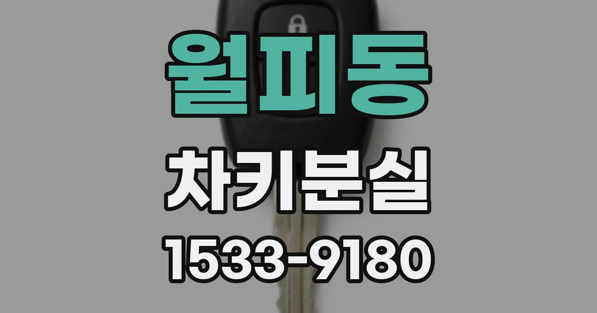 월피동 차키분실