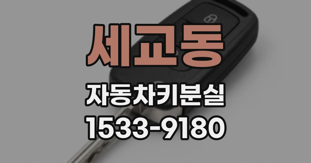 세교동 자동차키분실