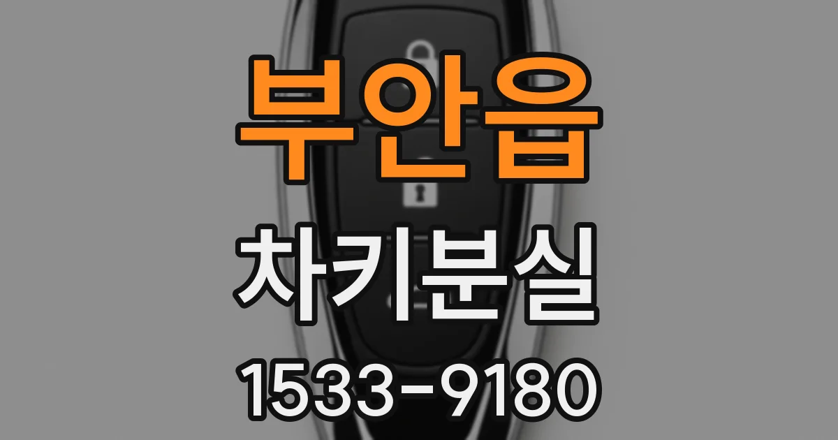 부안읍 차키분실