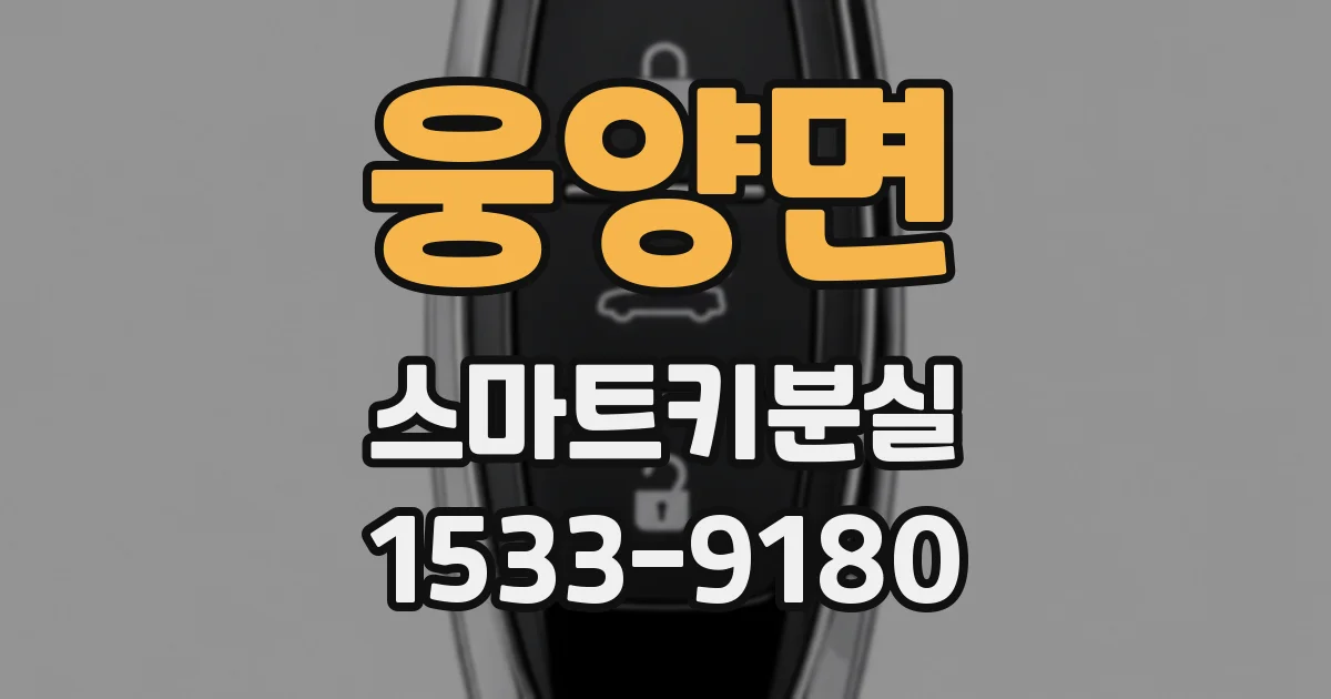 웅양면 스마트키분실