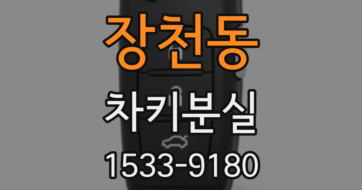 장천동 차키분실