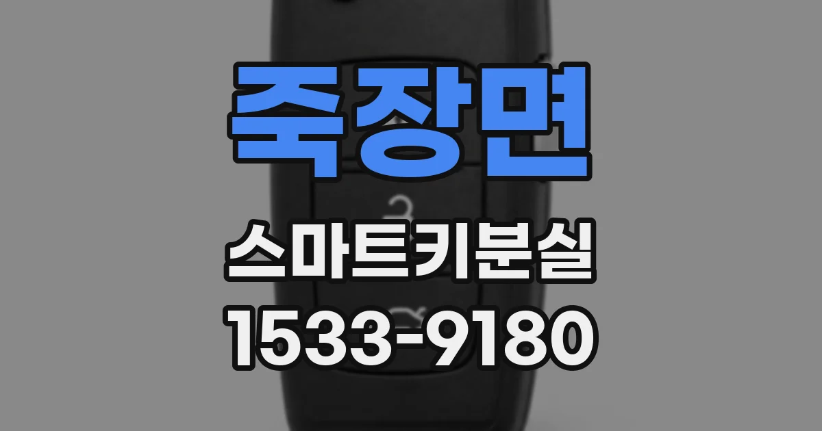 죽장면 스마트키분실