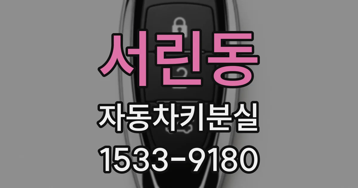 서린동 자동차키분실