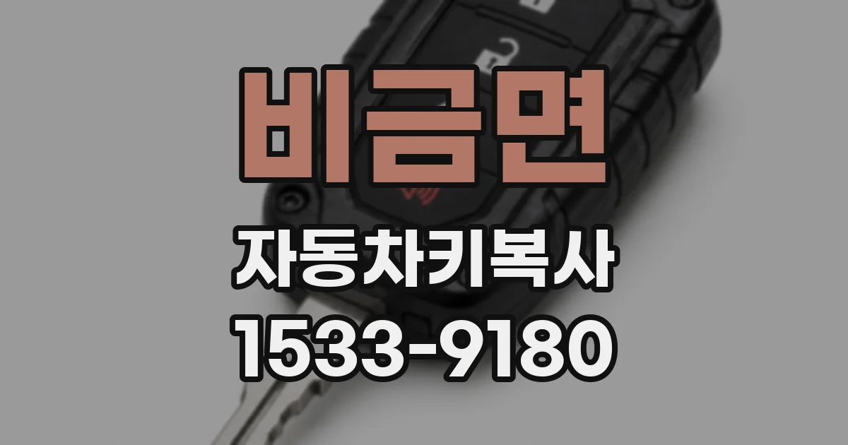비금면 자동차키복사