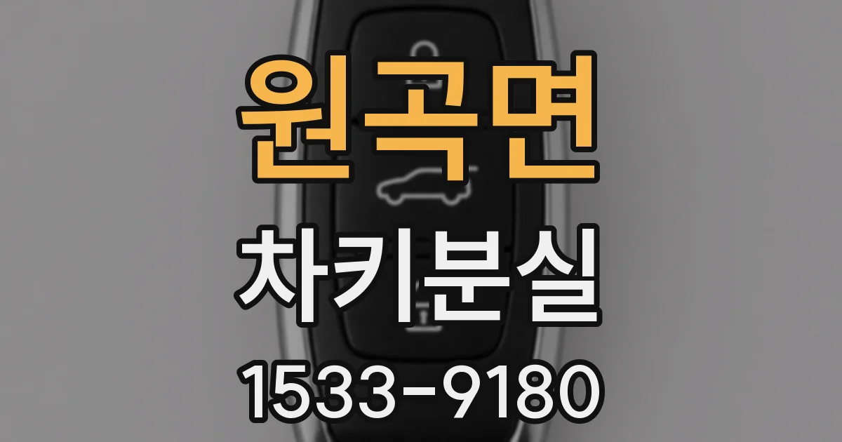 원곡면 차키분실