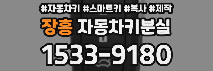 장흥 자동차키분실