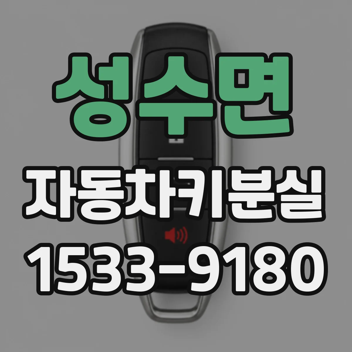 성수면 자동차키분실