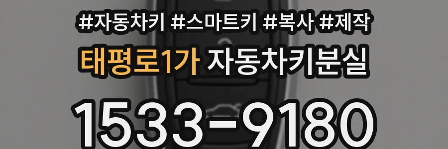 태평로1가 자동차키분실