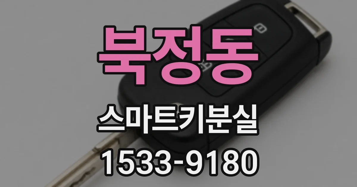 북정동 스마트키분실