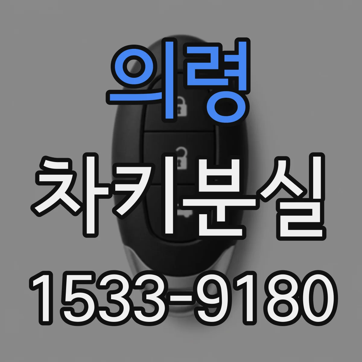 의령 차키분실