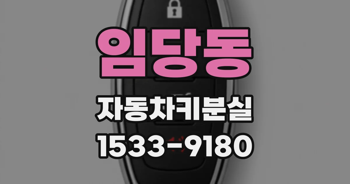 임당동 자동차키분실