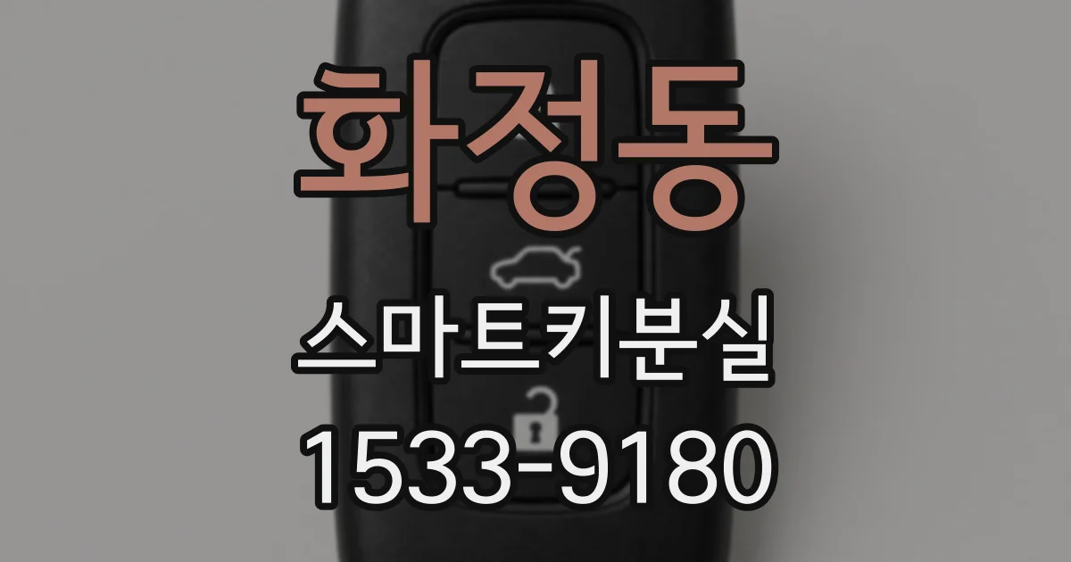 화정동 스마트키분실
