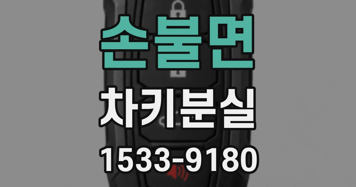 손불면 차키분실