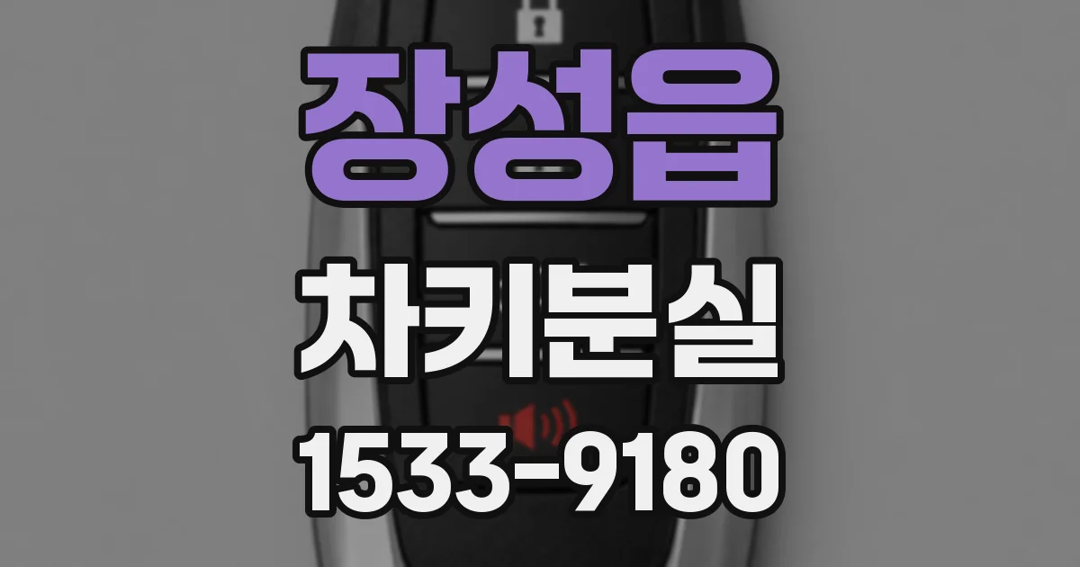 장성읍 차키분실