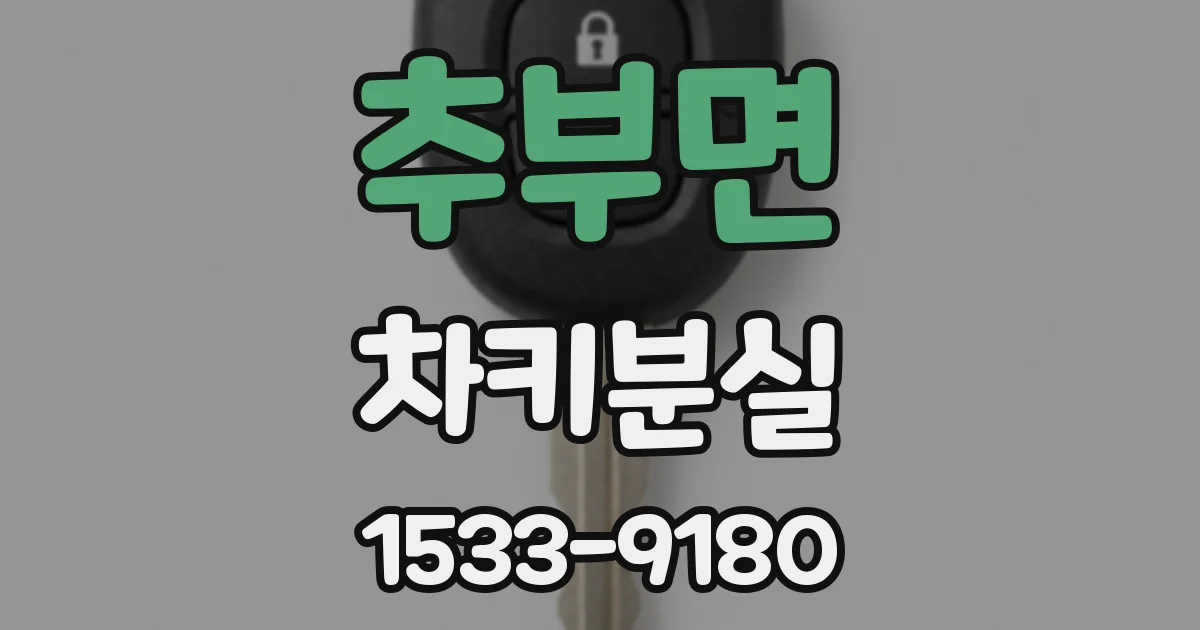 추부면 차키분실