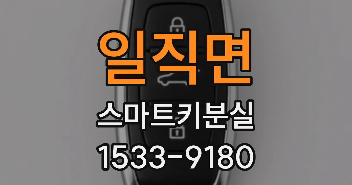 일직면 스마트키분실