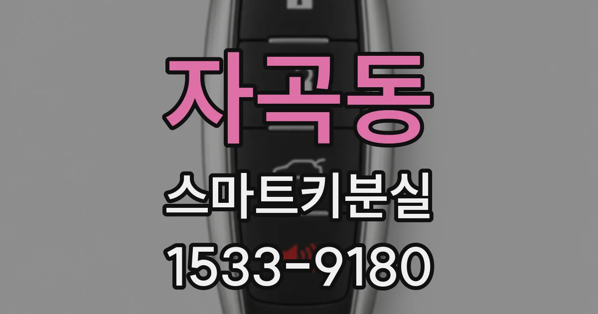 자곡동 스마트키분실